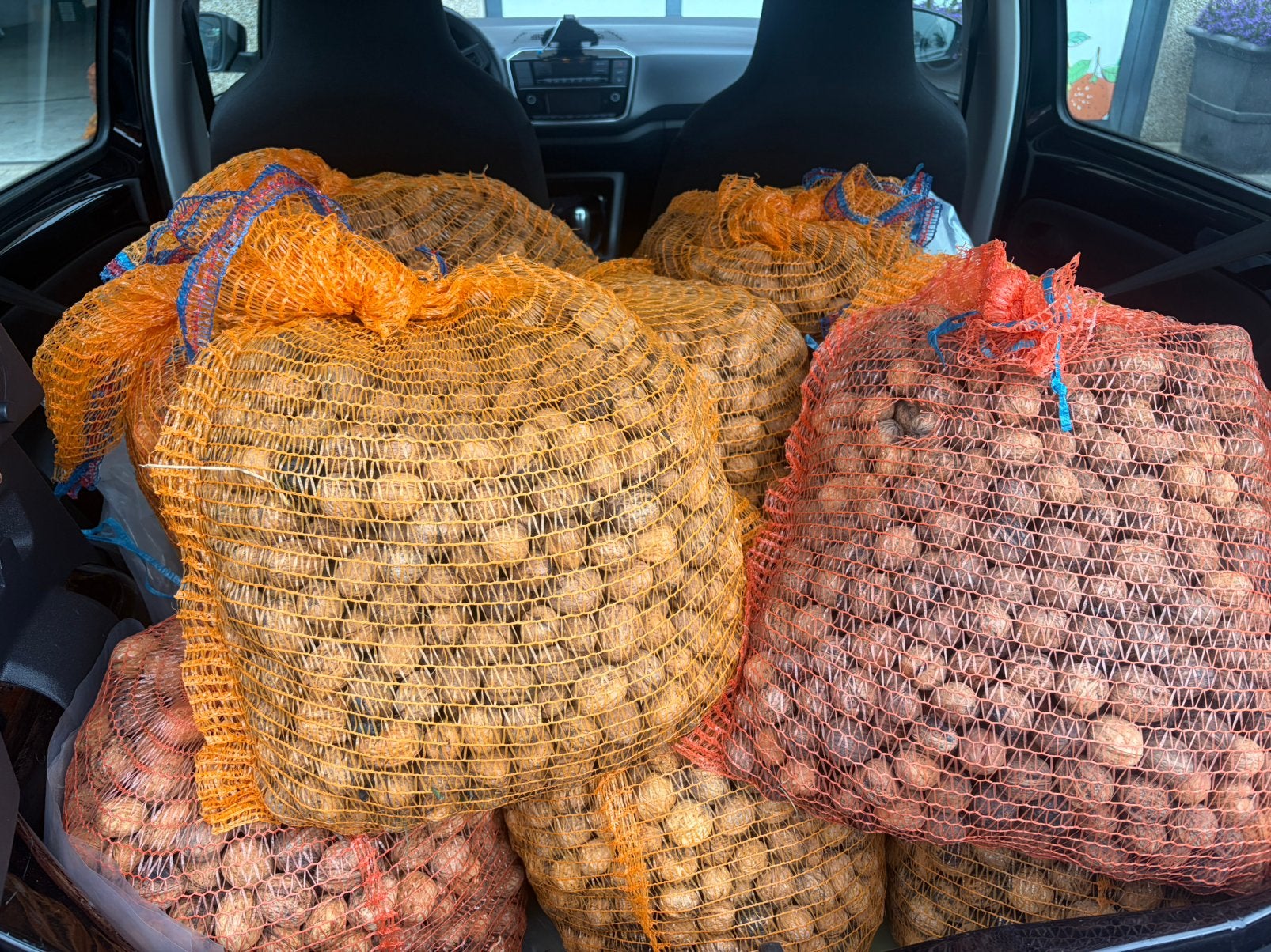 Verse walnoten 10 kg €40,- 20 kg €75,-, Diversen, Verzenden