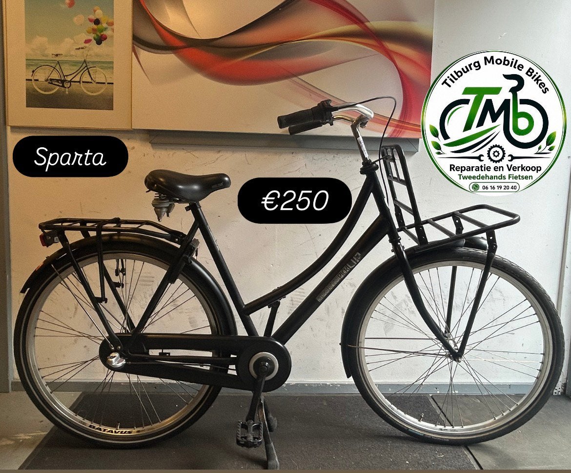 Omafiets/school/stad/Transport student bikes from €150, Ophalen, Zo goed als nieuw