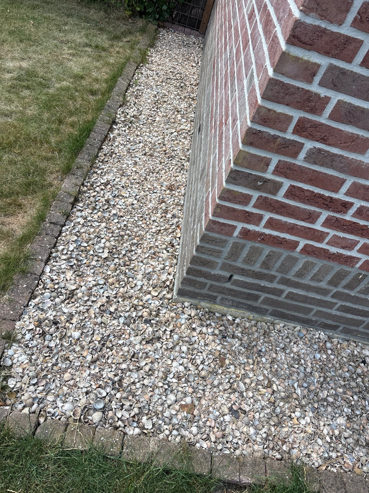 Schelpen voor tuin of decoratie, Tuin en Terras, Ophalen, Overige materialen, Gebruikt, Overige typen