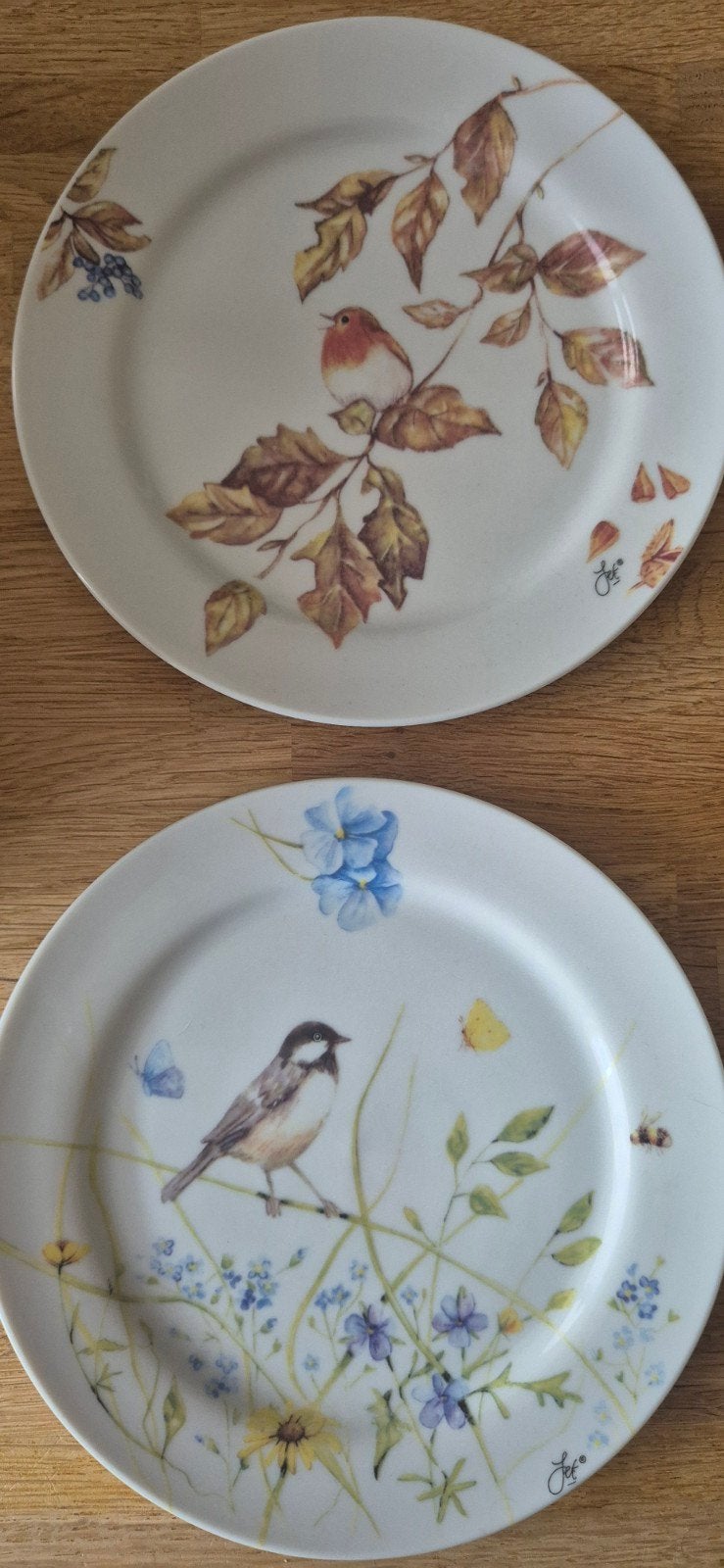 Jet by Ter Steege servies met vogelprint - 12-delig, Landelijk/Boerenbont, Ophalen of Verzenden, Zo goed als nieuw, Compleet servies