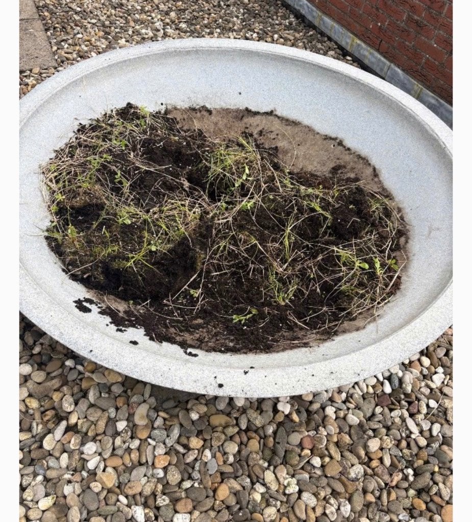 Gratis plantenbak, Ophalen, Kunststof, Gebruikt, Minder dan 30 cm