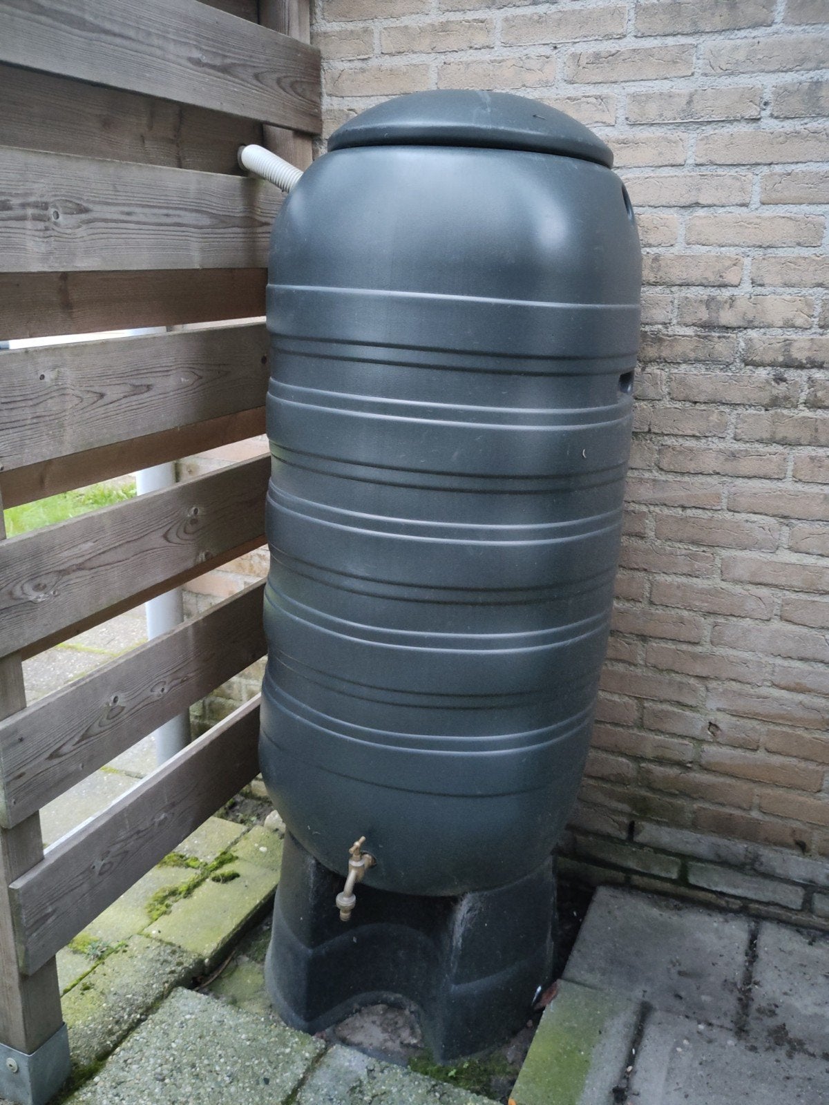 Regenton 230-250L met messing kraan en voet, Ophalen, Kunststof, Gebruikt, Met kraantje