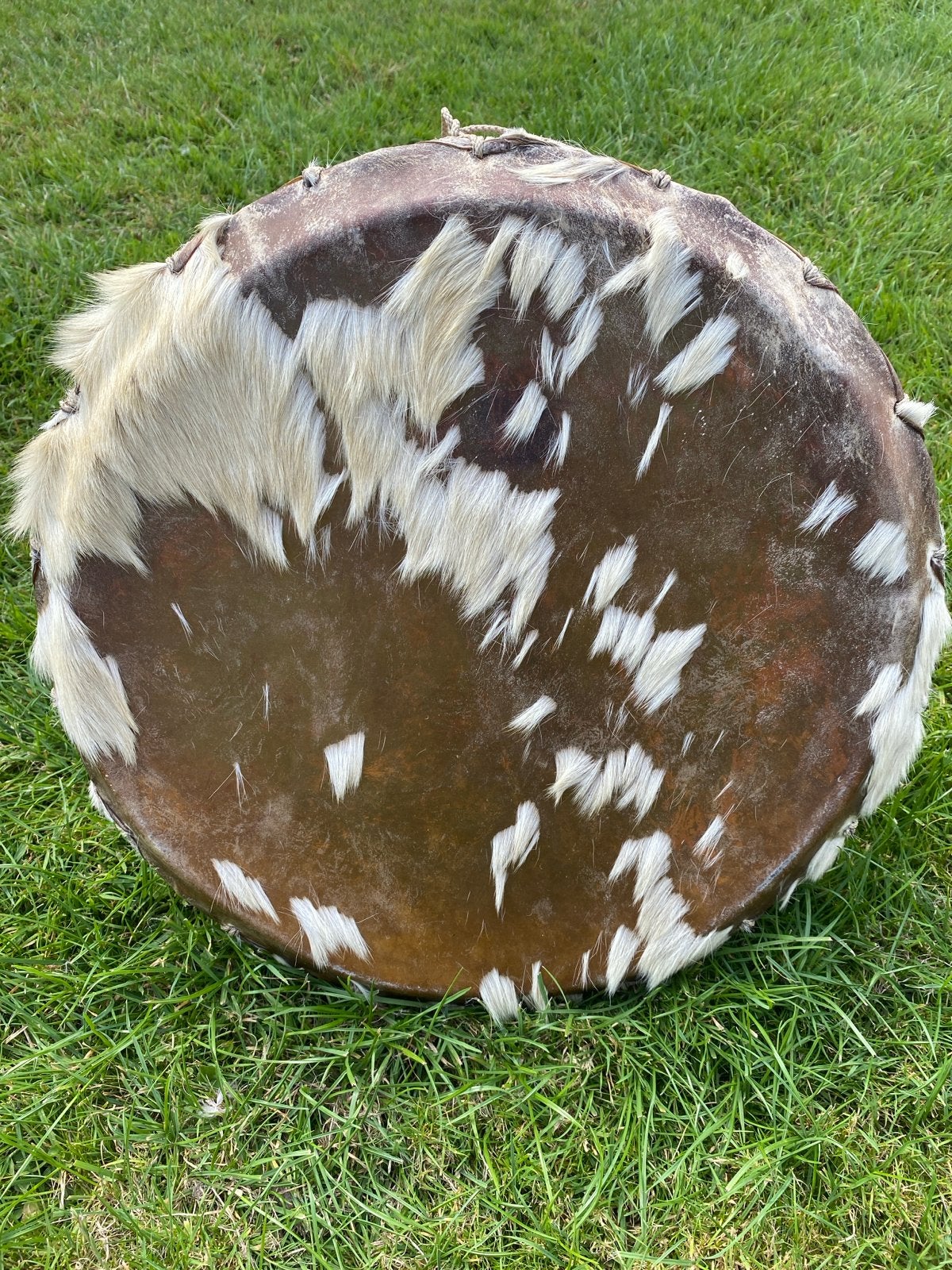 Handgemaakte shaman drum paard, Ophalen of Verzenden, Zo goed als nieuw, Trommel