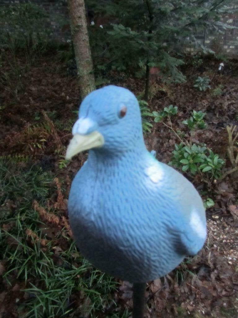 DUIFJE, Ophalen of Verzenden, Nieuw