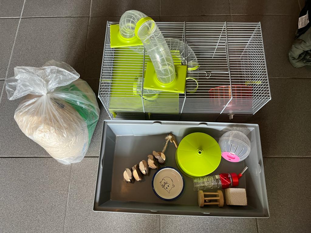 hamsterkooi met toebehoren en zaagsel., Dieren en Toebehoren, Kooi, Minder dan 75 cm, Zo goed als nieuw, Ophalen
