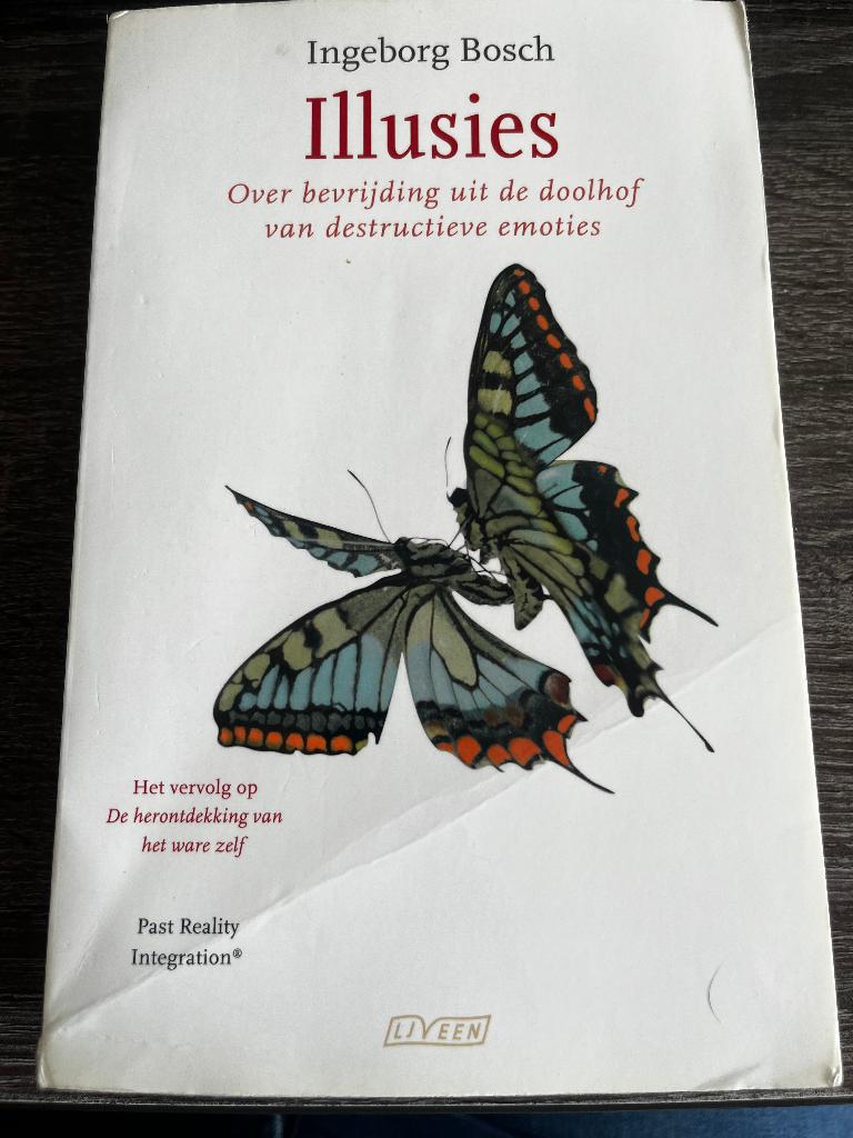Illusies, Boeken, Gelezen, Ophalen of Verzenden, Ingeborg Bosch, Overige onderwerpen