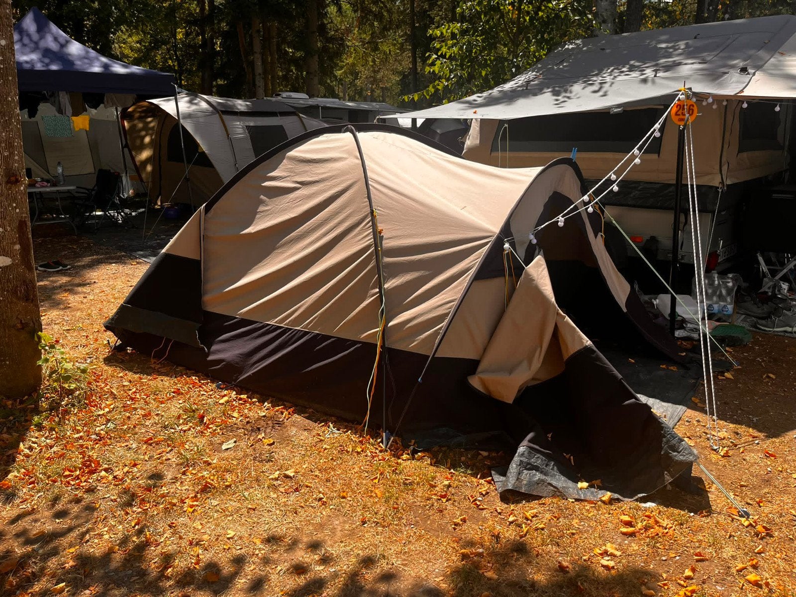 Redwood Chestnut 230 Koepeltent - 3 Persoons, Ophalen, Gebruikt