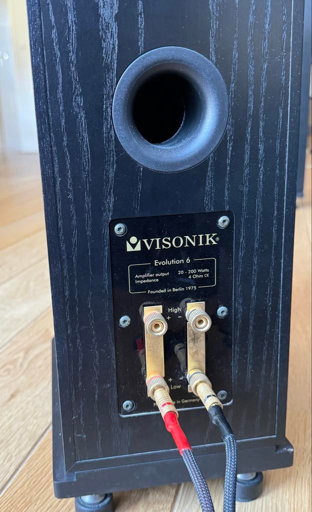 VisoNIK Evolution 6 Vloerstaande Luidsprekers (Set), Gebruikt, 120 watt of meer, Front, Rear of Stereo speakers, Ophalen