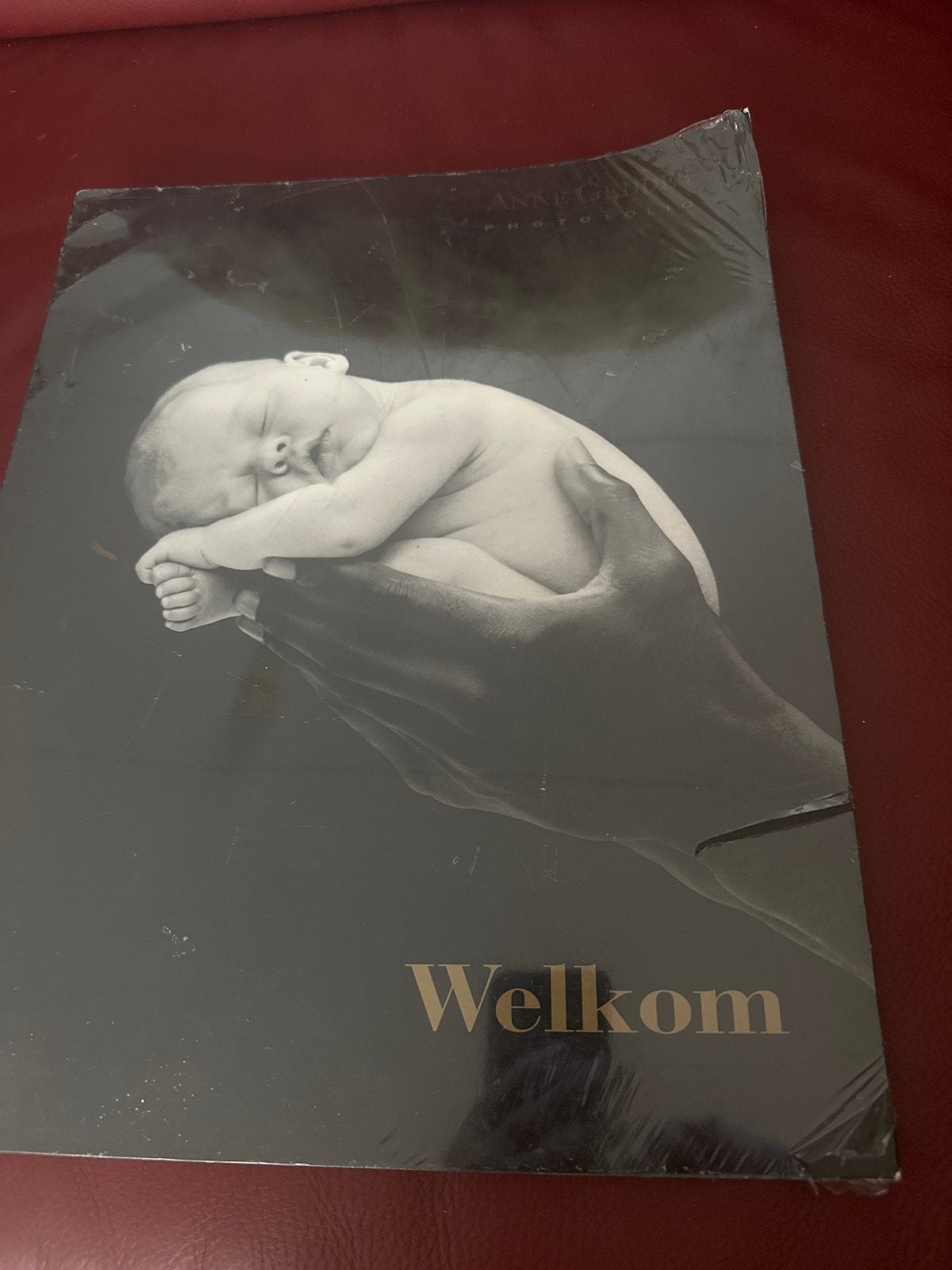 Anne Geddes Platenboek - Welkom, Ophalen of Verzenden, Nieuw, Fotografen