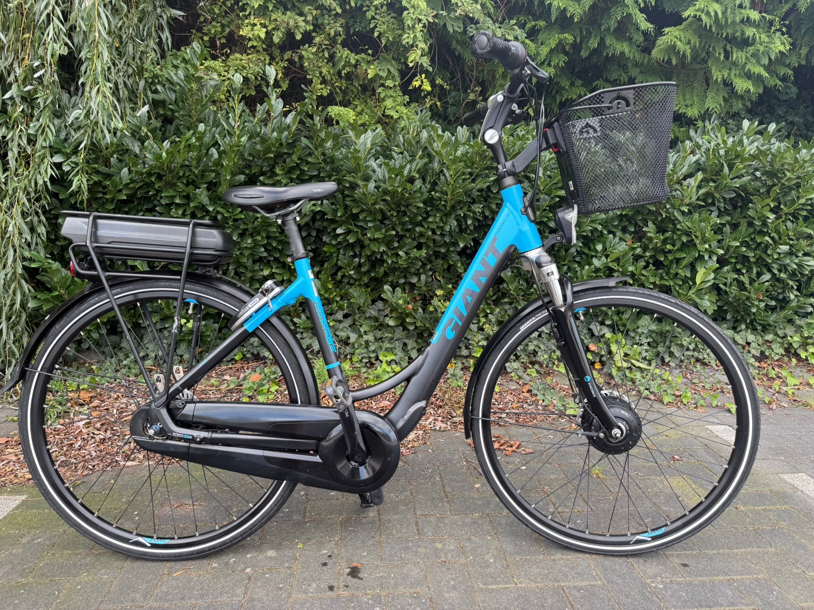 Elektrische fiets Giant Ease-E, Zo goed als nieuw, 51 tot 55 cm, 50 km per accu of meer, Ophalen