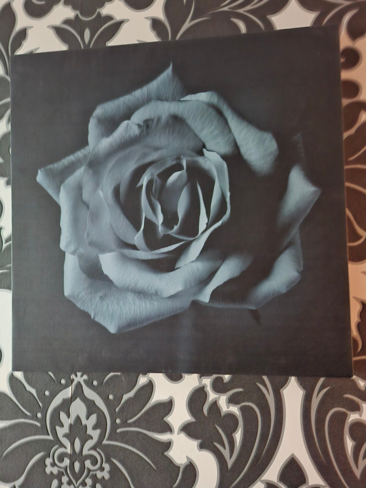 Schilderij  3 x, Ophalen of Verzenden