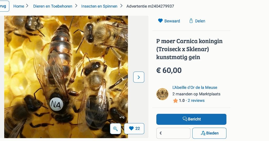 Carnica P0 moer aangeboden, OPLICHTING, Dieren en Toebehoren, Bijen