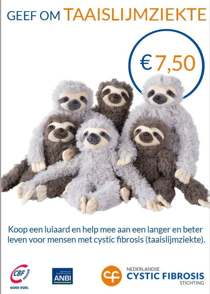 Nieuw! Knuffel Luiaard lichtgrijs, Overige typen, Grijs, Nieuw, Ophalen of Verzenden