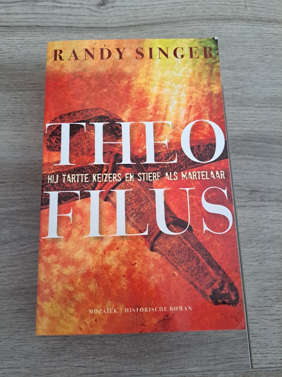 Theo Filus - Randy Singer (Historische Roman), Boeken, Ophalen of Verzenden