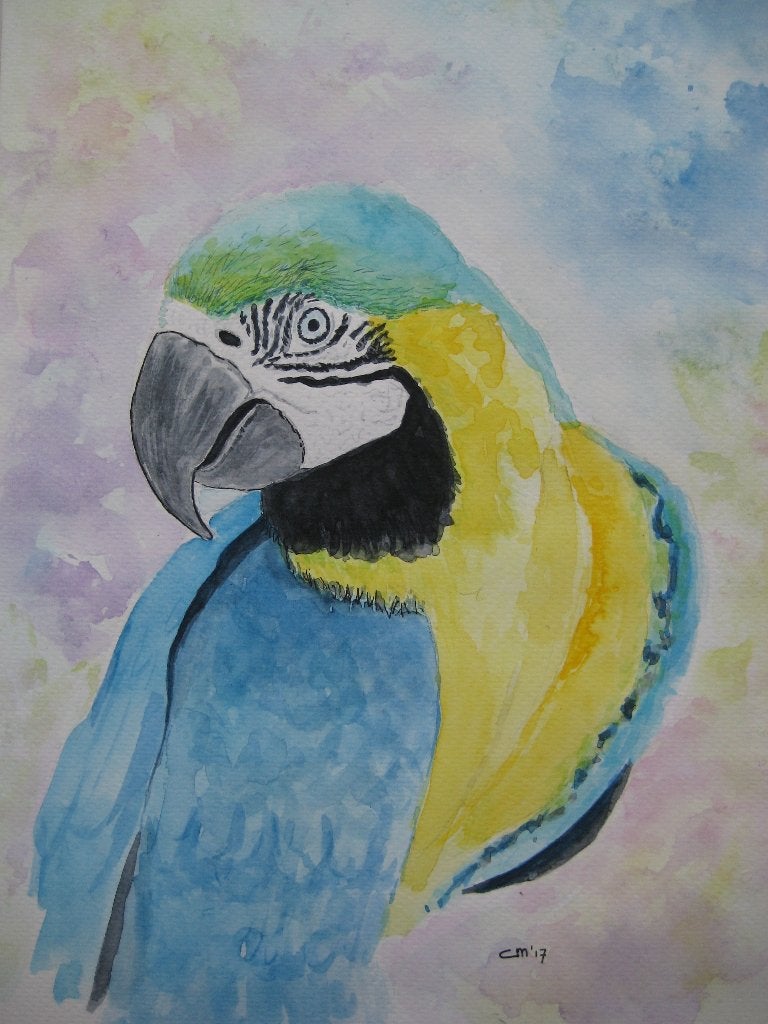 Aquarel Macaw / Blauwvleugel Ara, Ophalen, Minder dan 50 cm, Oorspronkelijke maker, Nieuw