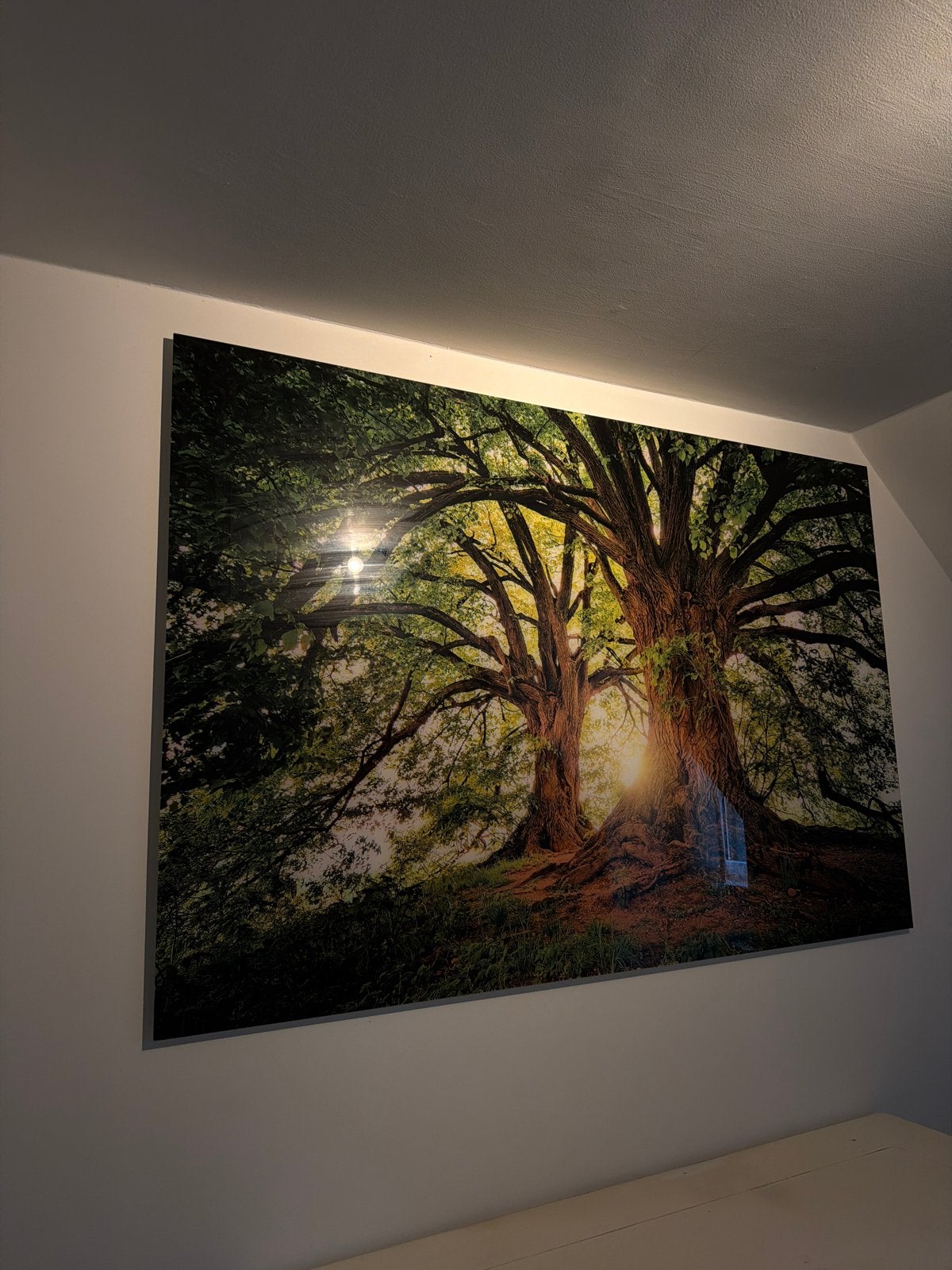 Wanddecoratie plexiglas, Ophalen, 125 cm of meer, Zo goed als nieuw, Foto of Poster