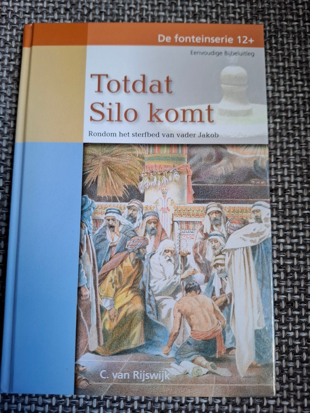 Tótdat Silo komt - Eenvoudige Bijbeluitleg, Ophalen of Verzenden, Zo goed als nieuw, C. van Rijswijk, Christendom | Protestants