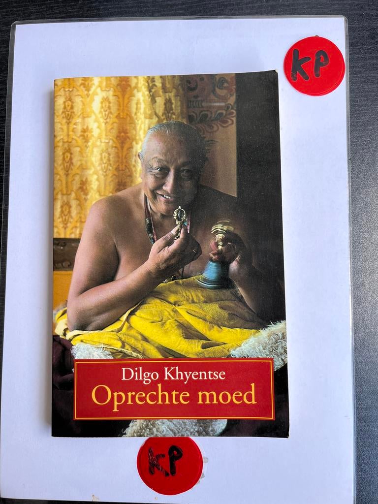 Dilgo Khyentse - Oprechte moed (Boeddhisme, Spiritualiteit), Ophalen of Verzenden, Zo goed als nieuw, Spiritualiteit algemeen