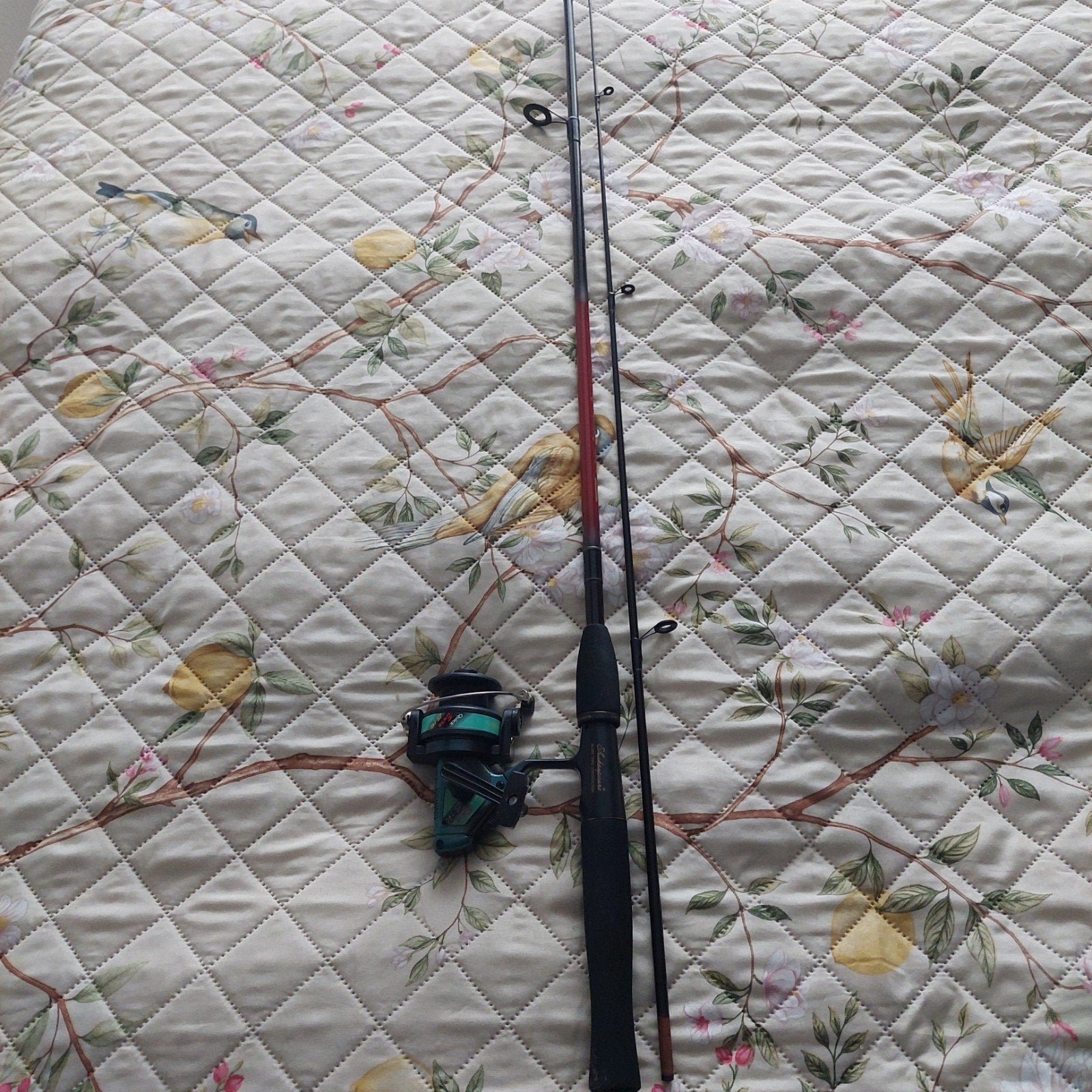 Shakespeare MG Spinning Rod met Quick Euro 25 140 Molen, Watersport en Boten, Hengelsport | Algemeen, Ophalen, Gebruikt, Complete hengel