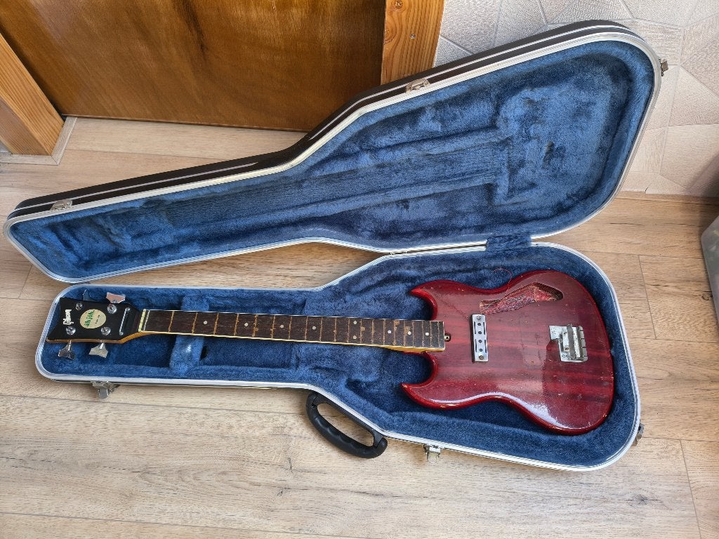 Gitaar koffer met Basgitaar, Ophalen, Gebruikt, Elektrisch, Fretloos