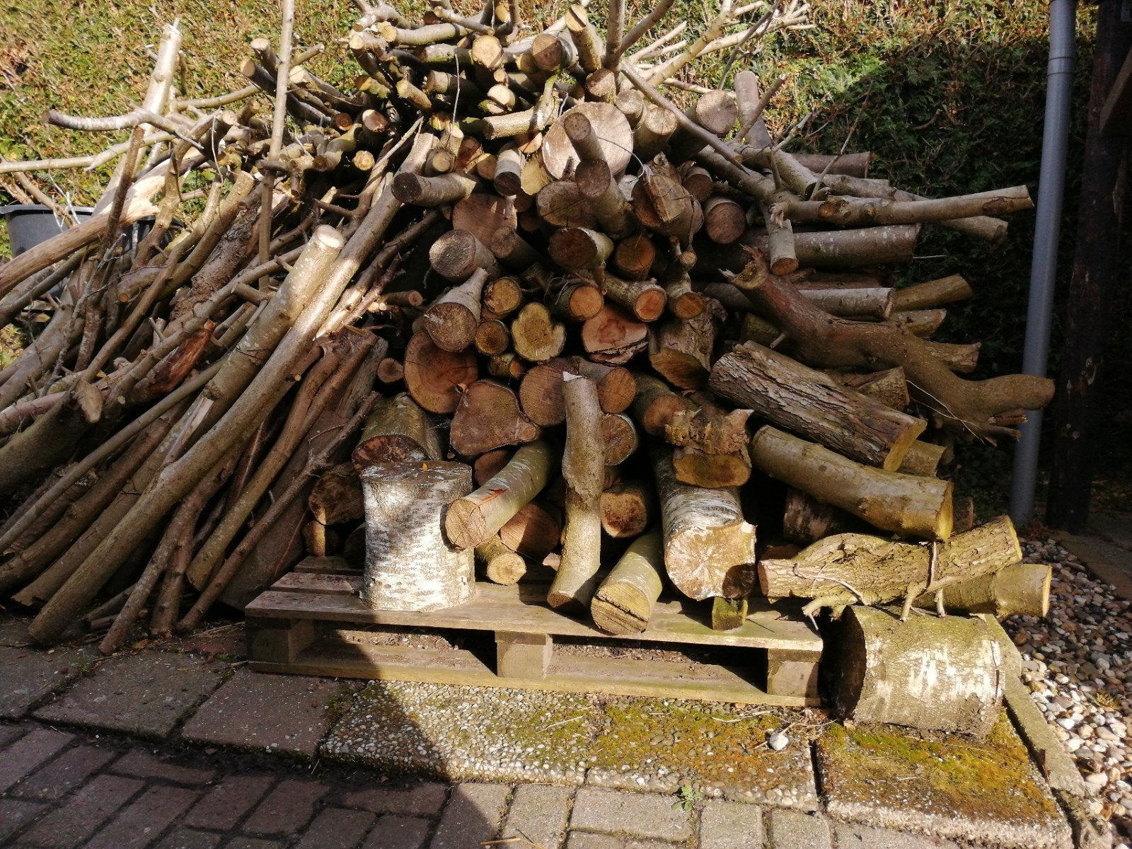 open haard hout, 3 tot 6 m³, Ophalen of Verzenden, Stammen