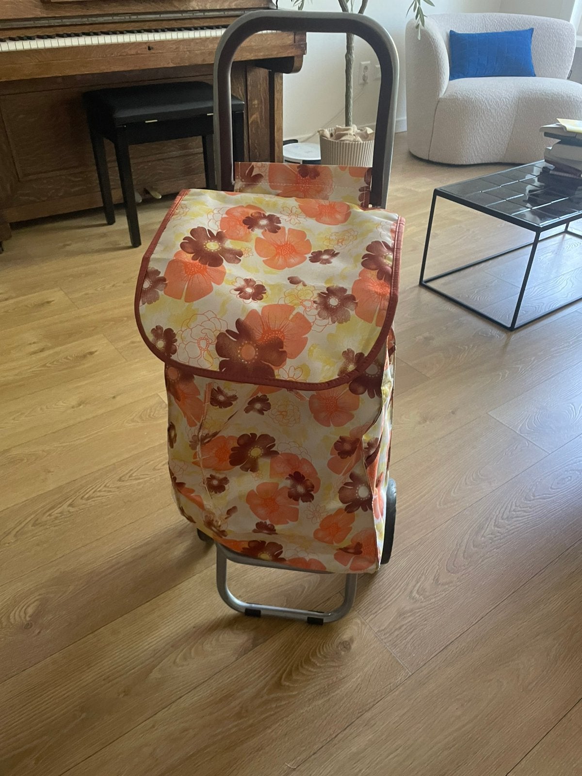 Boodschappen trolley, Ophalen, Zo goed als nieuw