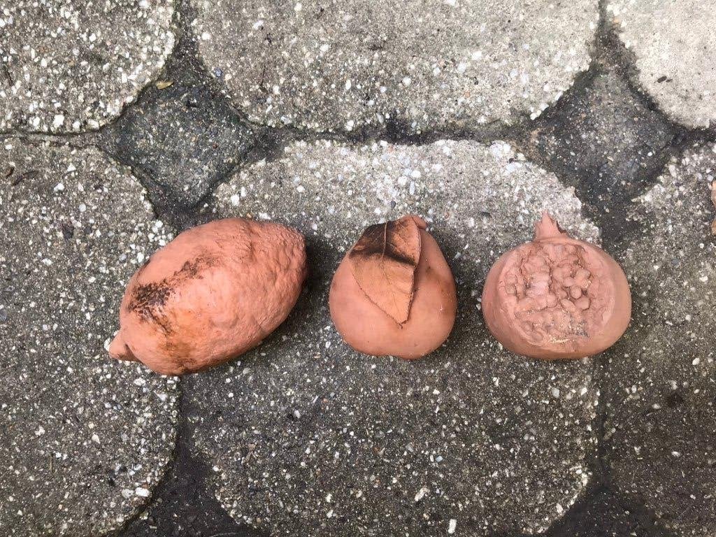 Fruit terra cotta, Verzamelen, Ophalen of Verzenden, Zo goed als nieuw, Overige typen