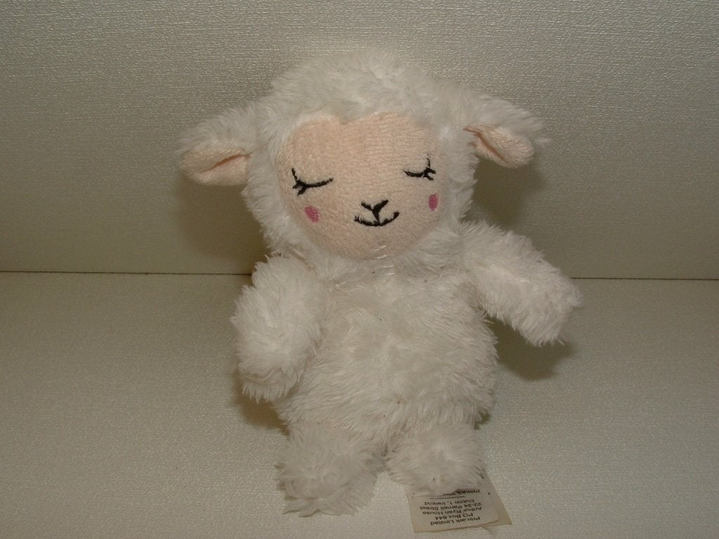 PRIMARK SCHAAP KLEIN PLUCHE WOLLIG WIT MET VELOURS, Verzenden, Nieuw, Overige typen