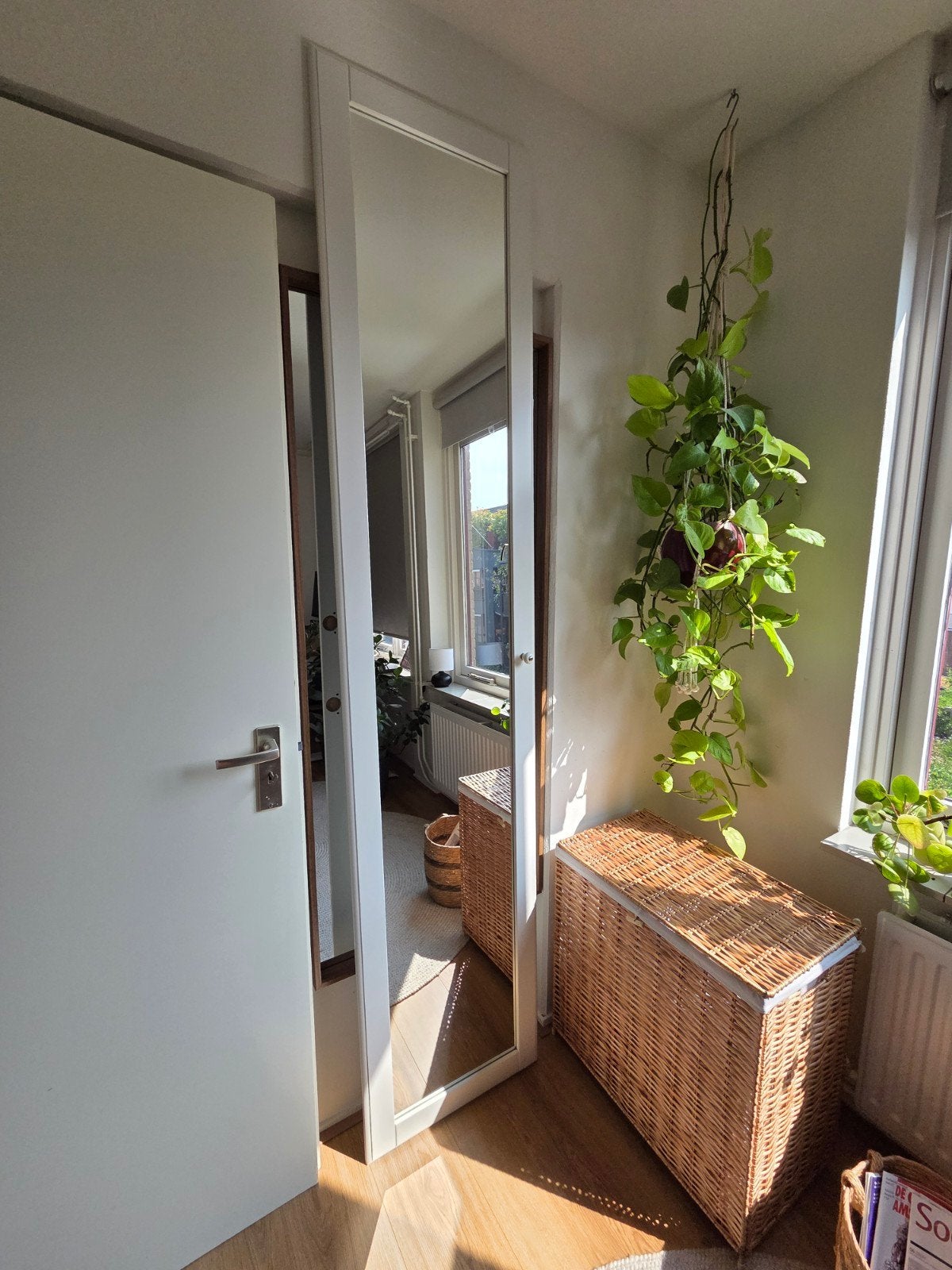 Ikea PAX kastdeur met spiegel 50x229, Huis en Inrichting, Ophalen, Overige materialen, Minder dan 50 cm, Gebruikt