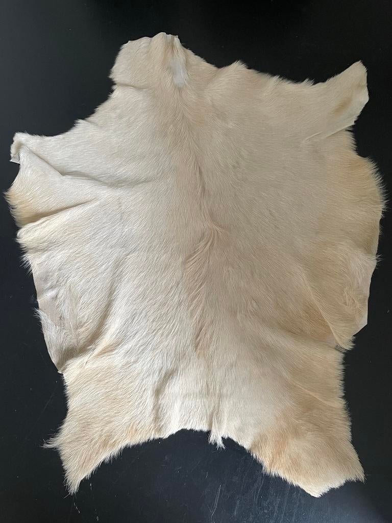 Crème geitenvel, sfeervol decoratief, Ophalen, Gebruikt, Beige, Leer