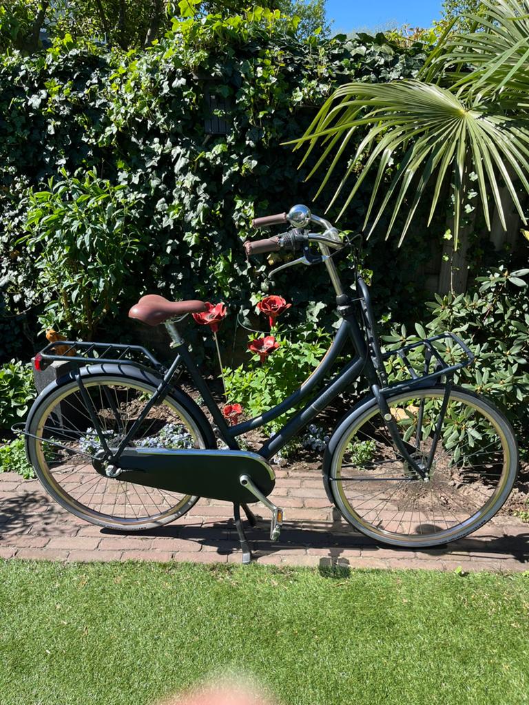 Gereserveerd voor Daan Cortina fiets 28 inch, Fietsen en Brommers, Fietsen | Dames | Damesfietsen, Gebruikt, Versnellingen, 56 cm of meer