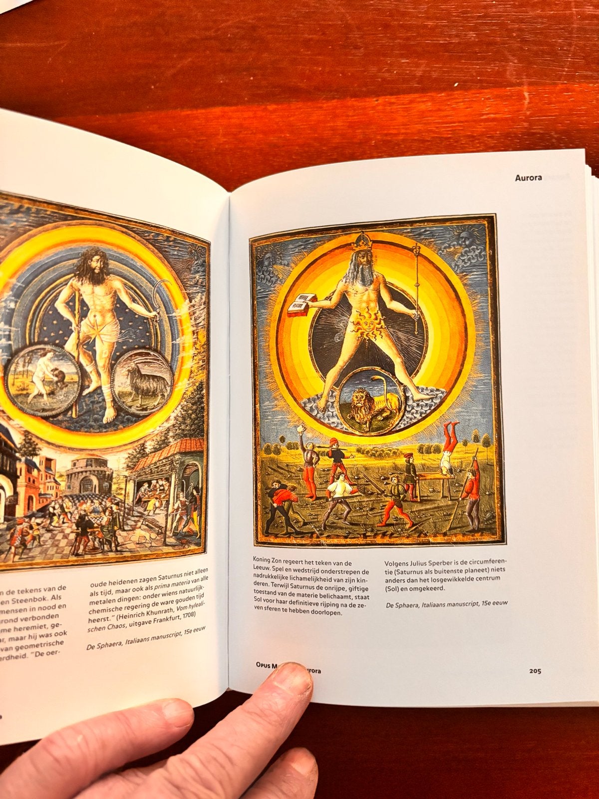 Het Hermetische Museum: Alchemie & Mystiek - Alexander Roob, Ophalen of Verzenden, Zo goed als nieuw, Spiritualiteit algemeen