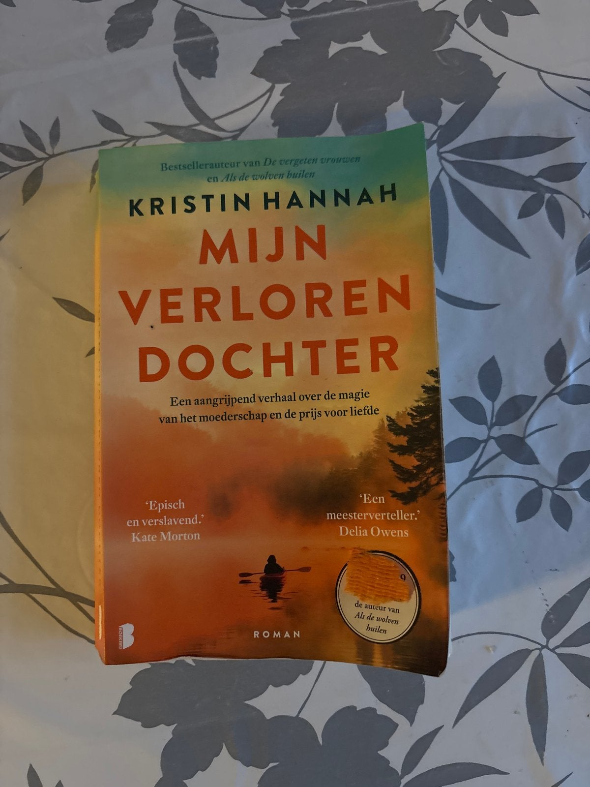 Mijn Verloren Dochter - Kristin Hannah (Roman), Ophalen of Verzenden, Zo goed als nieuw, Nederland