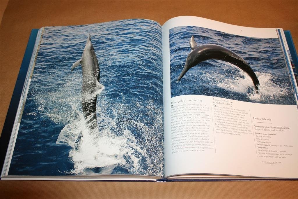 Dikke pil. Oceans. Nederlandse Versie., Ophalen of Verzenden, Zo goed als nieuw, Vogels