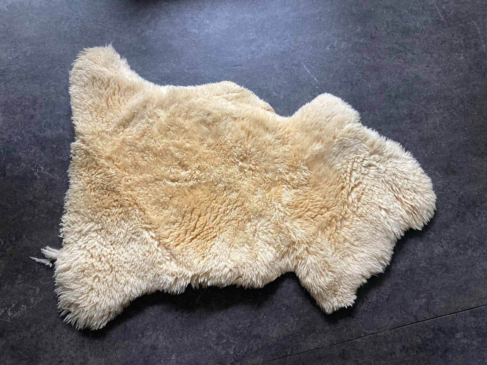 Gebruikte Lamsvacht - Zacht en Warm, Ophalen, Gebruikt, 50 tot 100 cm, Crème