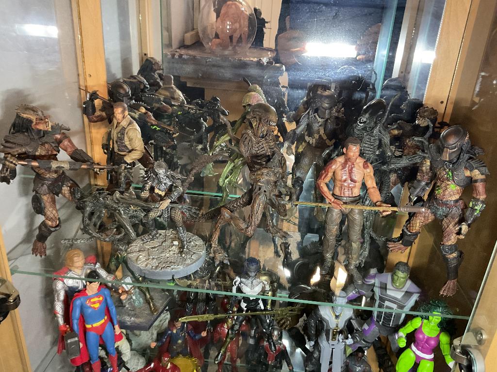 Predator/ alien figuren, Ophalen of Verzenden, Zo goed als nieuw, Film, Actiefiguur of Pop