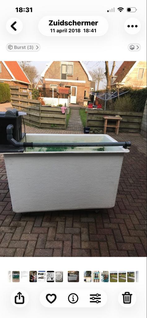 Grote rechthoekige opvangbak voor jonge visjes, Tuin en Terras, Zwembaden, Ophalen, Gebruikt, 200 tot 300 cm, 200 tot 400 cm