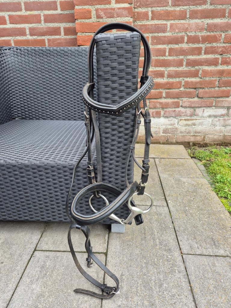 Mooi hoofdstel, Ophalen of Verzenden, Gebruikt