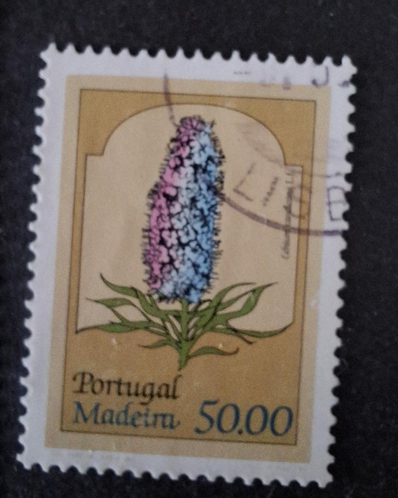 Madeira bloem, Ophalen of Verzenden, Dier of Natuur