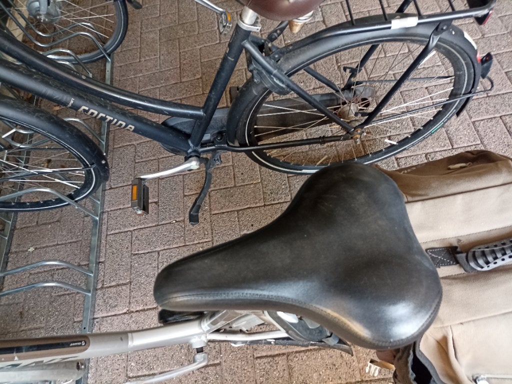 Giant elektrische damesfiets en Cortina damesfiets, Ophalen, Gebruikt, Versnellingen, Giant
