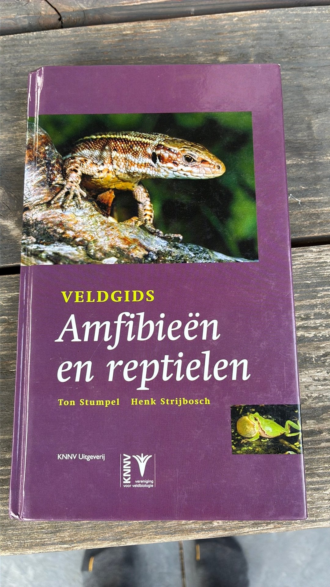 Henk Strijbosch - Veldgids Amfibieen en reptielen, Boeken, Ophalen of Verzenden, Zo goed als nieuw, Henk Strijbosch; Ton Stumpel