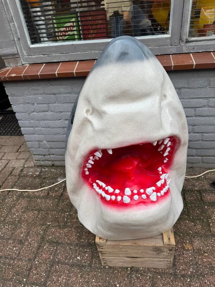 Grote Haaienkop Decoratie - Jaws Stijl, Ophalen