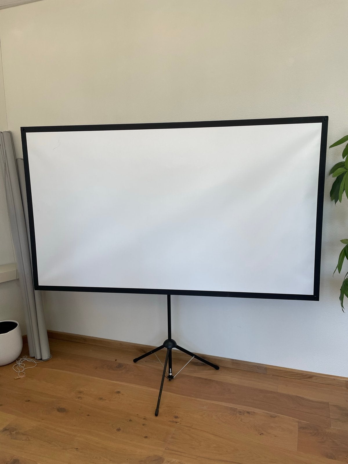 Celexon projectiescherm met statief Ultra Lightweight 177x10, Ophalen, Zo goed als nieuw