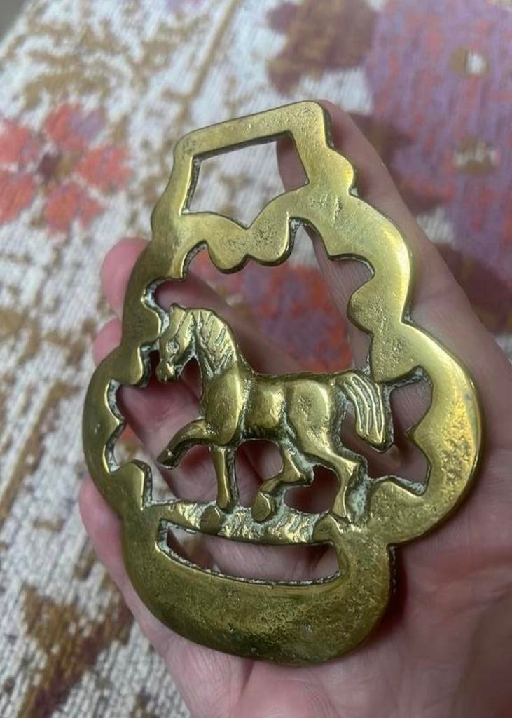 Set van 3 antieke paarden medaillons, 19e eeuw, Ophalen of Verzenden