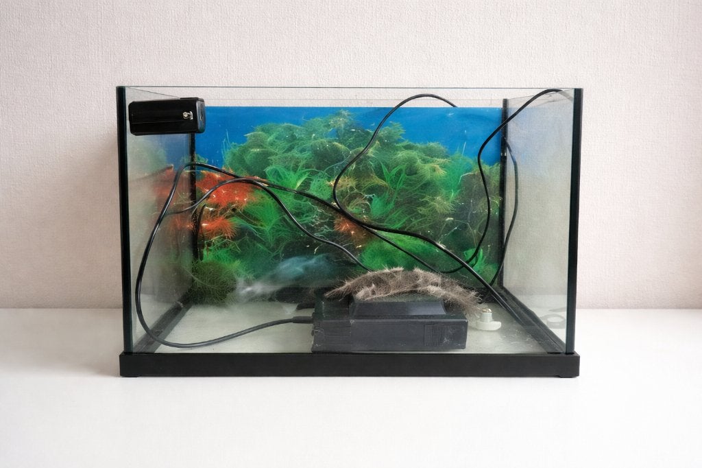 Compleet aquarium met automatische voeder apparaat en filter, Ophalen of Verzenden, Inclusief toebehoren, Zo goed als nieuw, Leeg aquarium