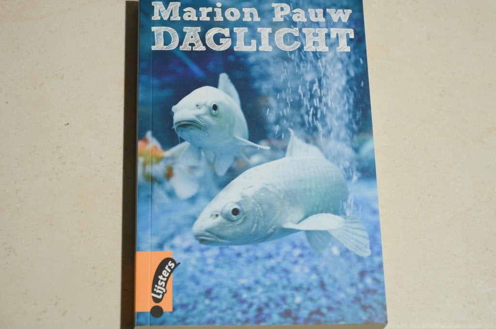 Grote lijsters: Daglicht / Marion Pauw      , Ophalen, Zo goed als nieuw