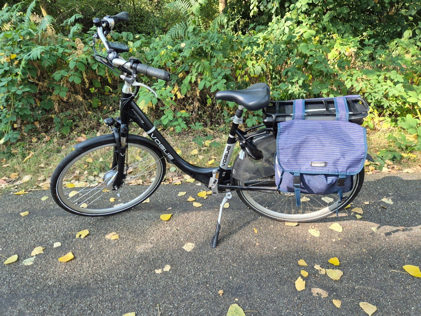 Elextriche fiets, Ophalen of Verzenden, Overige merken