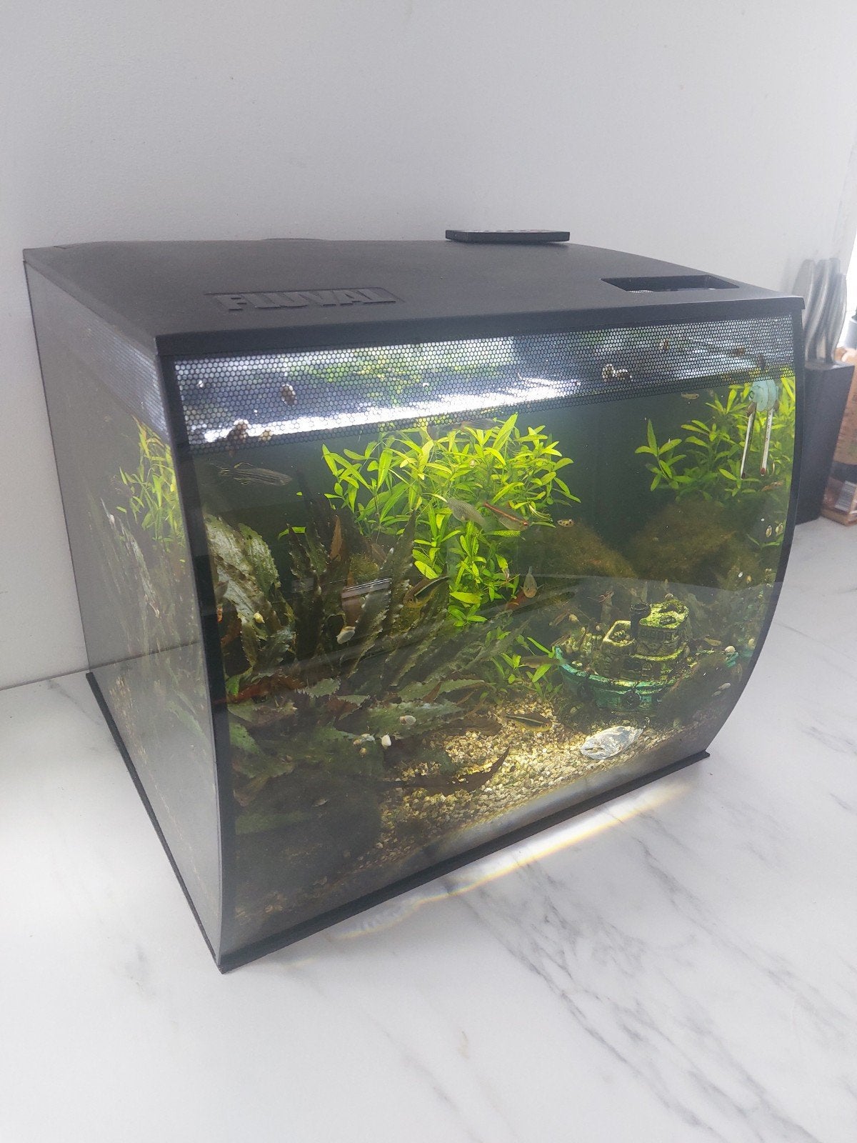 Compleet Fluval aquarium Flex 57 liter, Dieren en Toebehoren, Ophalen, Gebruikt, Gevuld zoetwateraquarium, Fluval