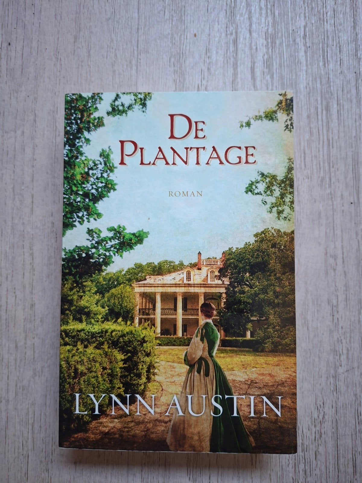 De plantage - Lynn Austin, Ophalen of Verzenden, Zo goed als nieuw, Lynn Austin, Nederland