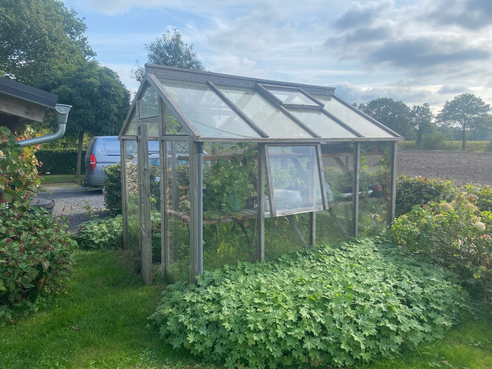 Houten kas met glaspanelen  Gererserveerd voor Freek, Tuin en Terras, Overige materialen, Gebruikt, Kweekkas, Ophalen of Verzenden